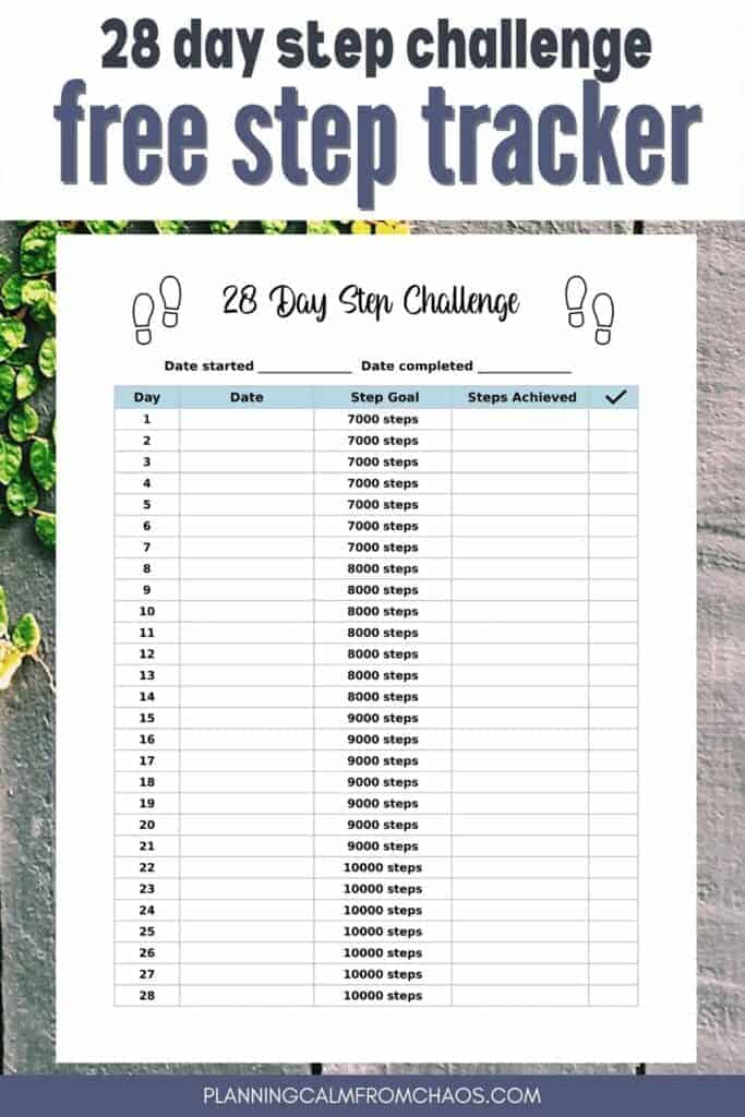 28 day step challenge